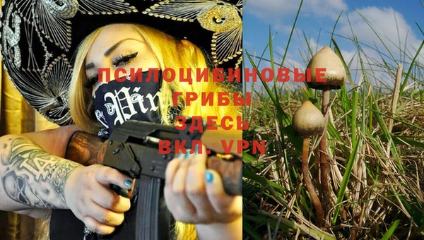шишки Богданович