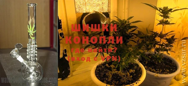 шишки Богданович