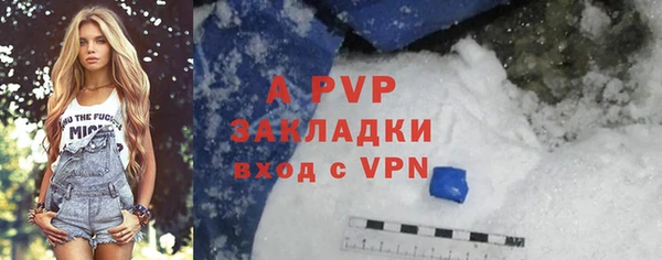 шишки Богданович
