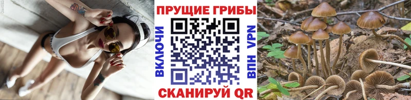 Псилоцибиновые грибы мухоморы  Бокситогорск 